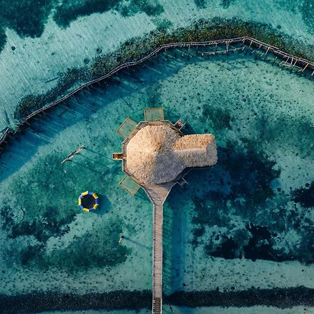 Thatch Caye Resort A Muy'Ono Resort هوبكنز المظهر الخارجي الصورة