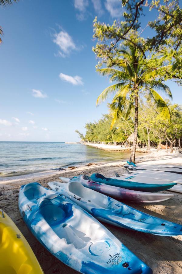 Thatch Caye Resort A Muy'Ono Resort هوبكنز المظهر الخارجي الصورة