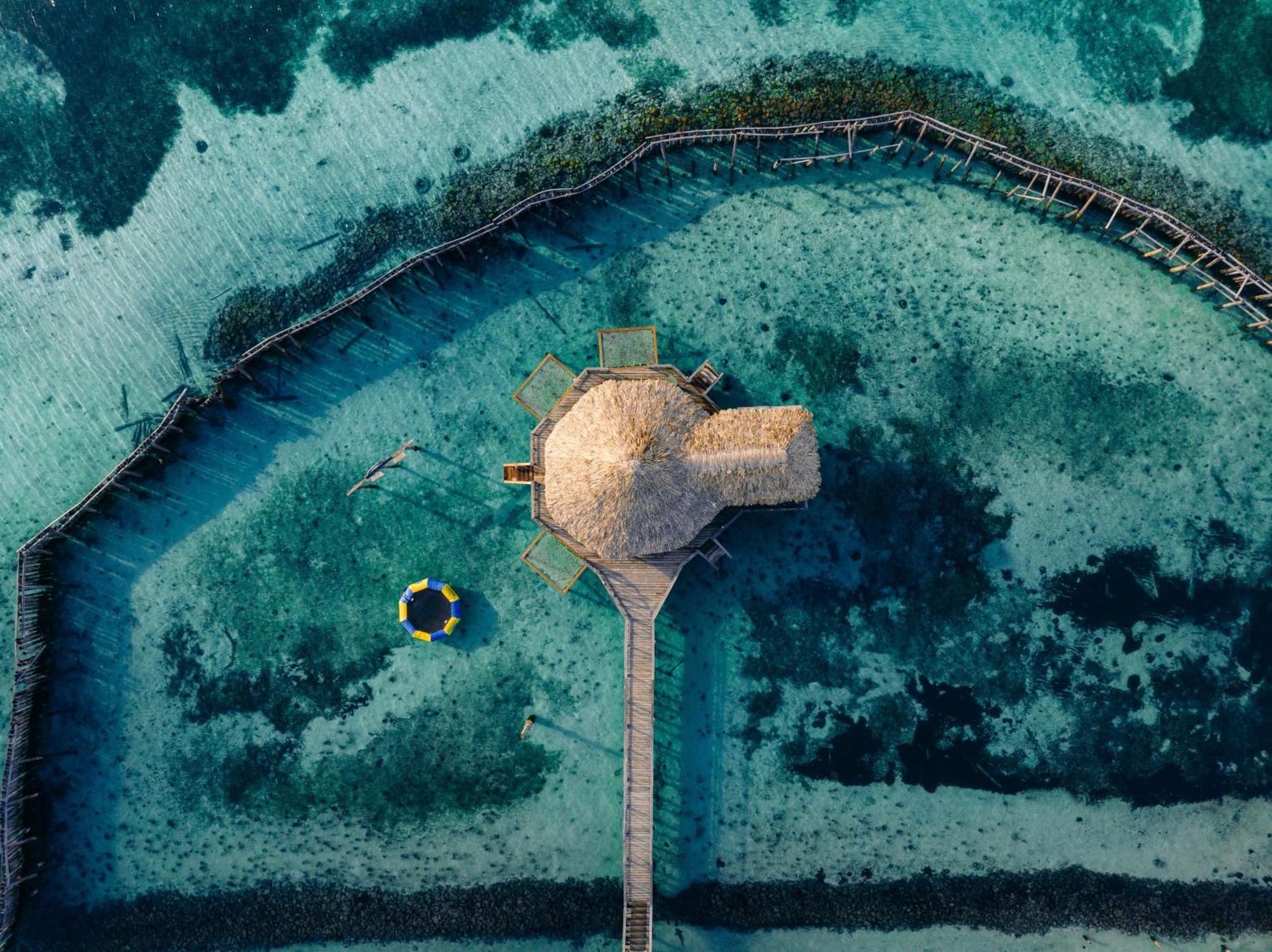 Thatch Caye Resort A Muy'Ono Resort هوبكنز المظهر الخارجي الصورة