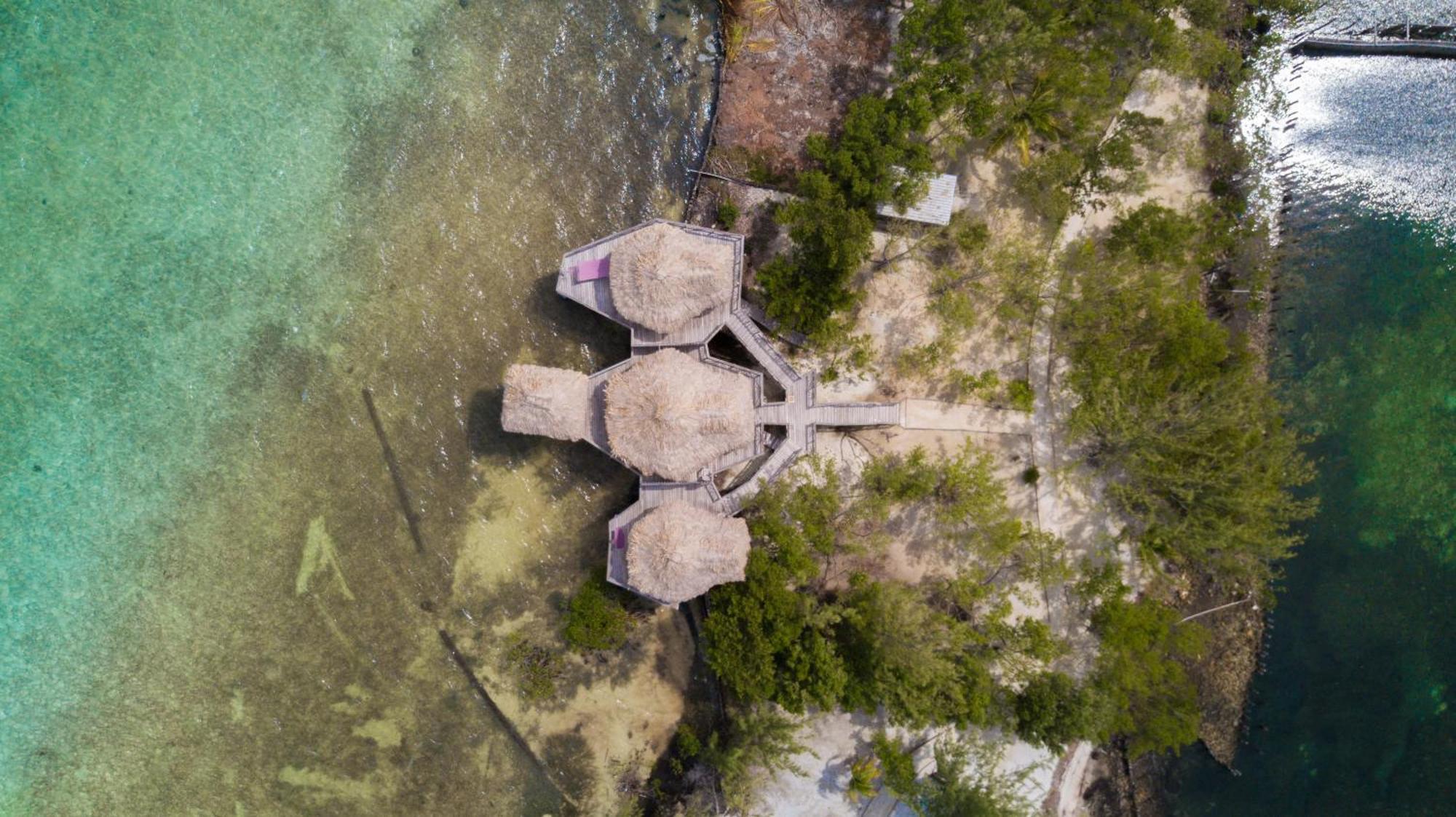 Thatch Caye Resort A Muy'Ono Resort هوبكنز الغرفة الصورة