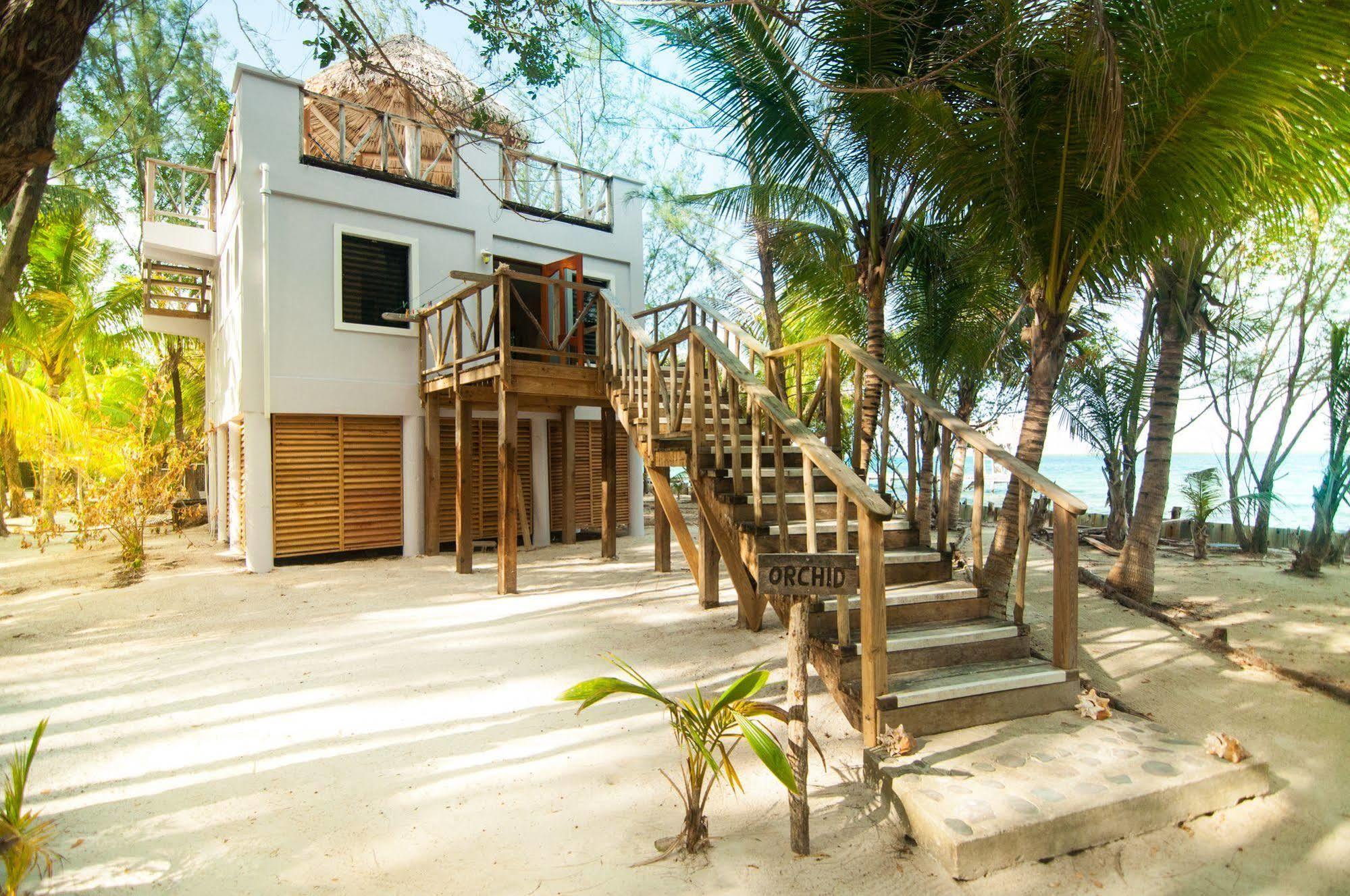Thatch Caye Resort A Muy'Ono Resort هوبكنز المظهر الخارجي الصورة