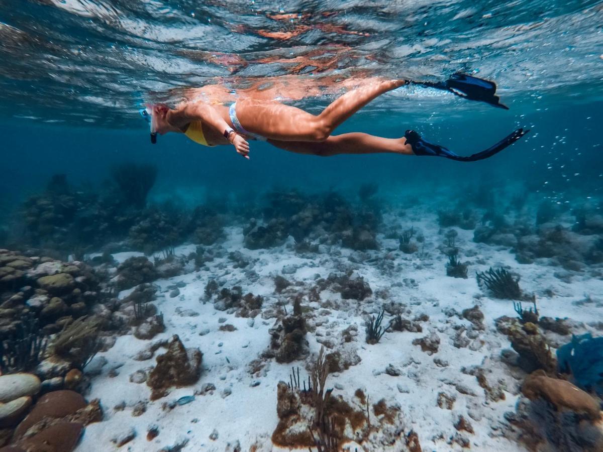Thatch Caye Resort A Muy'Ono Resort هوبكنز المظهر الخارجي الصورة