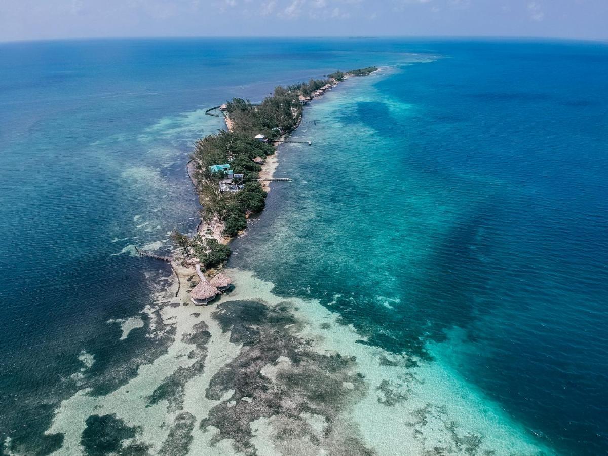 Thatch Caye Resort A Muy'Ono Resort هوبكنز المظهر الخارجي الصورة