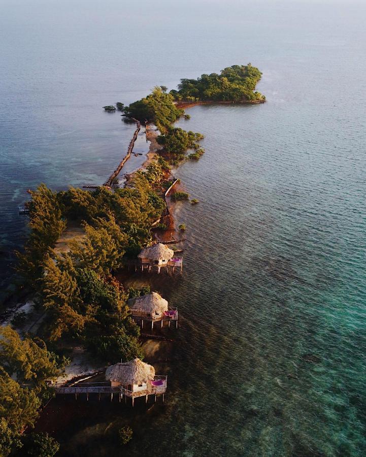 Thatch Caye Resort A Muy'Ono Resort هوبكنز المظهر الخارجي الصورة